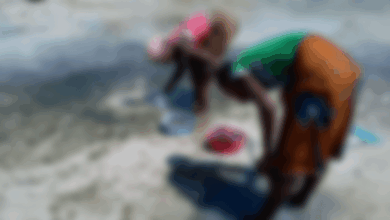 IMG 20260313 210206.png