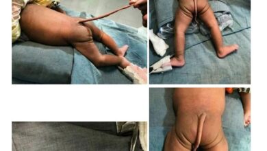 Bebe com cauda.jpg