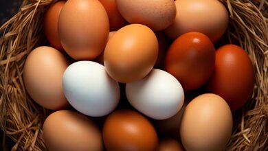 Vecteezy a lot heap of fresh chicken eggs on the wooden nest or 26609570 scaled.jpg