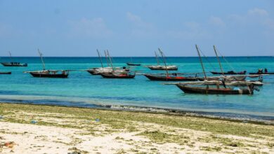 Vecteezy boats in the sea zanzibar 4529015 2 scaled.jpg