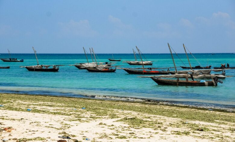 Vecteezy boats in the sea zanzibar 4529015 2 scaled.jpg