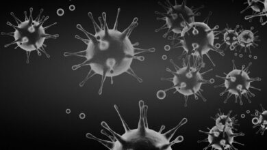 Vecteezy corona virus background pandemic risk concept 3d illustration 7437406 scaled.jpg