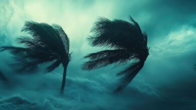 Vecteezy strong winds and dark skies during a hurricane near coastal 52949684 1 scaled.jpeg