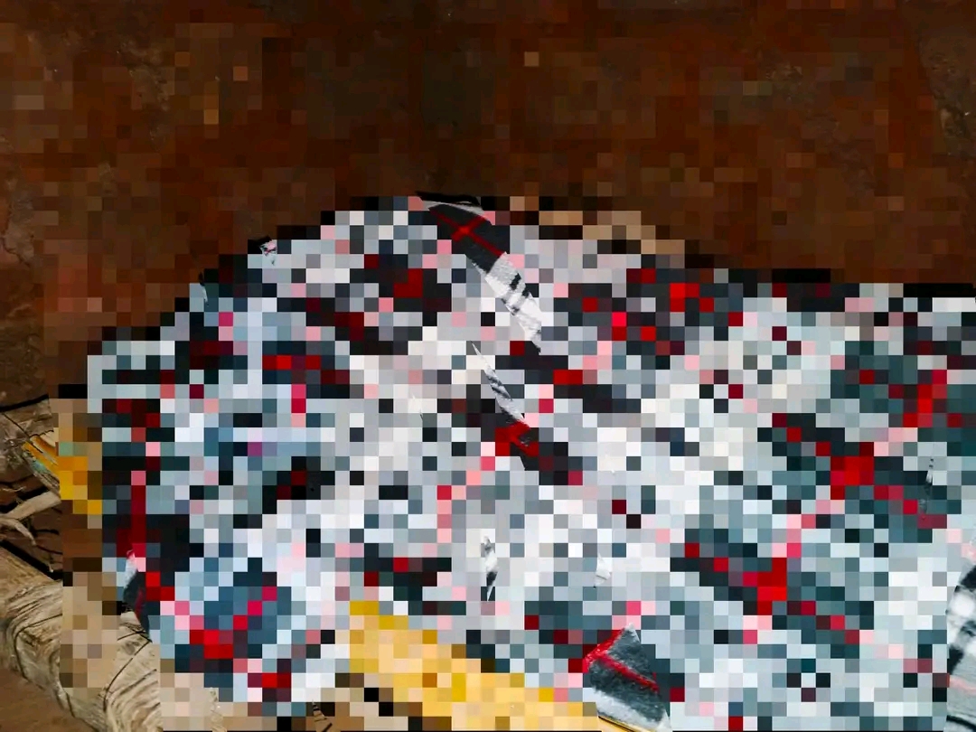 1779108070199.jpg