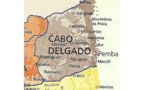Images281129.jpeg