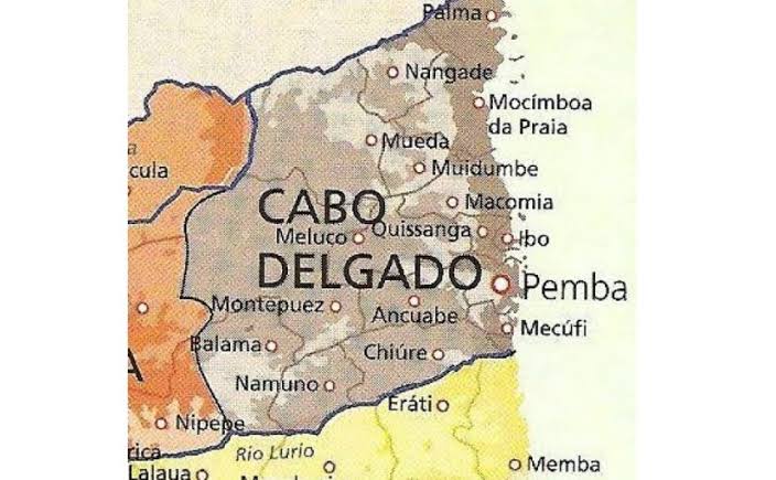 Images281129.jpeg