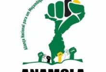 Anamola 1024x1022 1 1000x600 1.jpg