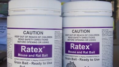 Ratex.jpg