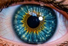 Vecteezy detailed eye close up macro photography human body part iris 71062855 scaled.jpg