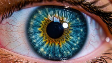 Vecteezy detailed eye close up macro photography human body part iris 71062855 scaled.jpg