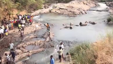 1000508782.jpg