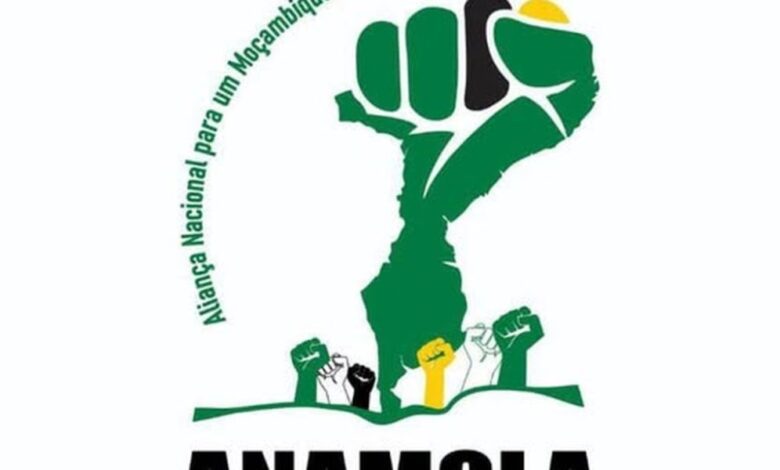 Anamola 1024x1022 1 1000x600 1.jpg