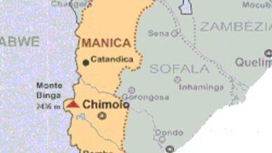 MANICA 1.jpg