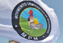 MDM1.jpg
