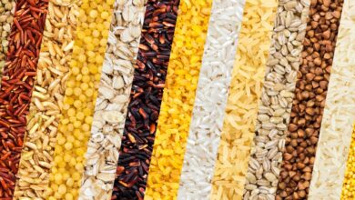 Vecteezy different cereals grains rice and beans backgrounds 10842743 scaled.jpg