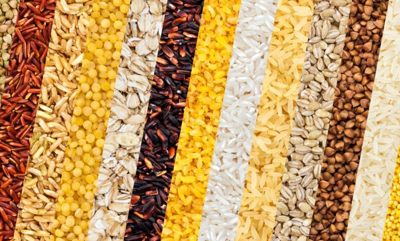 Vecteezy different cereals grains rice and beans backgrounds 10842743 scaled.jpg