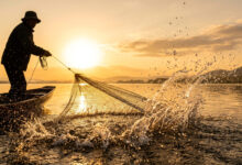 Vecteezy silhouetted fisherman pulls a net from a lake during golden 81896045 scaled.jpeg