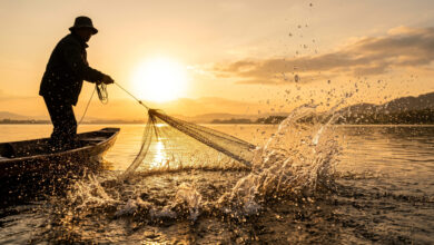 Vecteezy silhouetted fisherman pulls a net from a lake during golden 81896045 scaled.jpeg