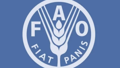 FAO.png