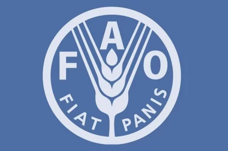 FAO.png