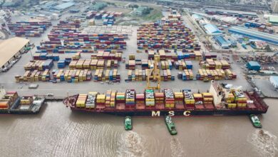 MSC Petra 1.jpeg