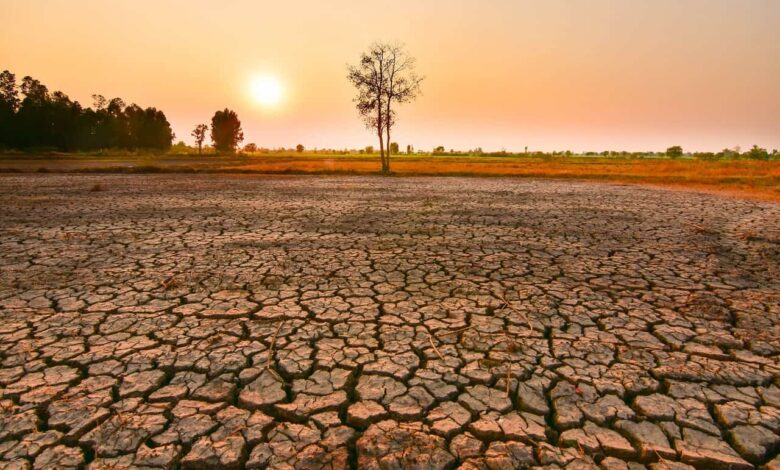 El nino 1.jpg
