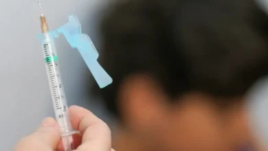 Vacina dengue 1024x613 1.webp